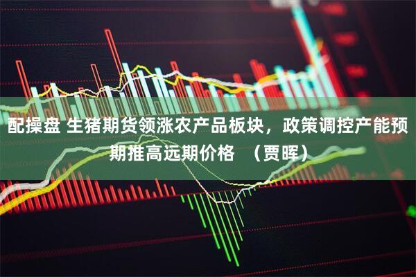 配操盘 生猪期货领涨农产品板块，政策调控产能预期推高远期价格  （贾晖）